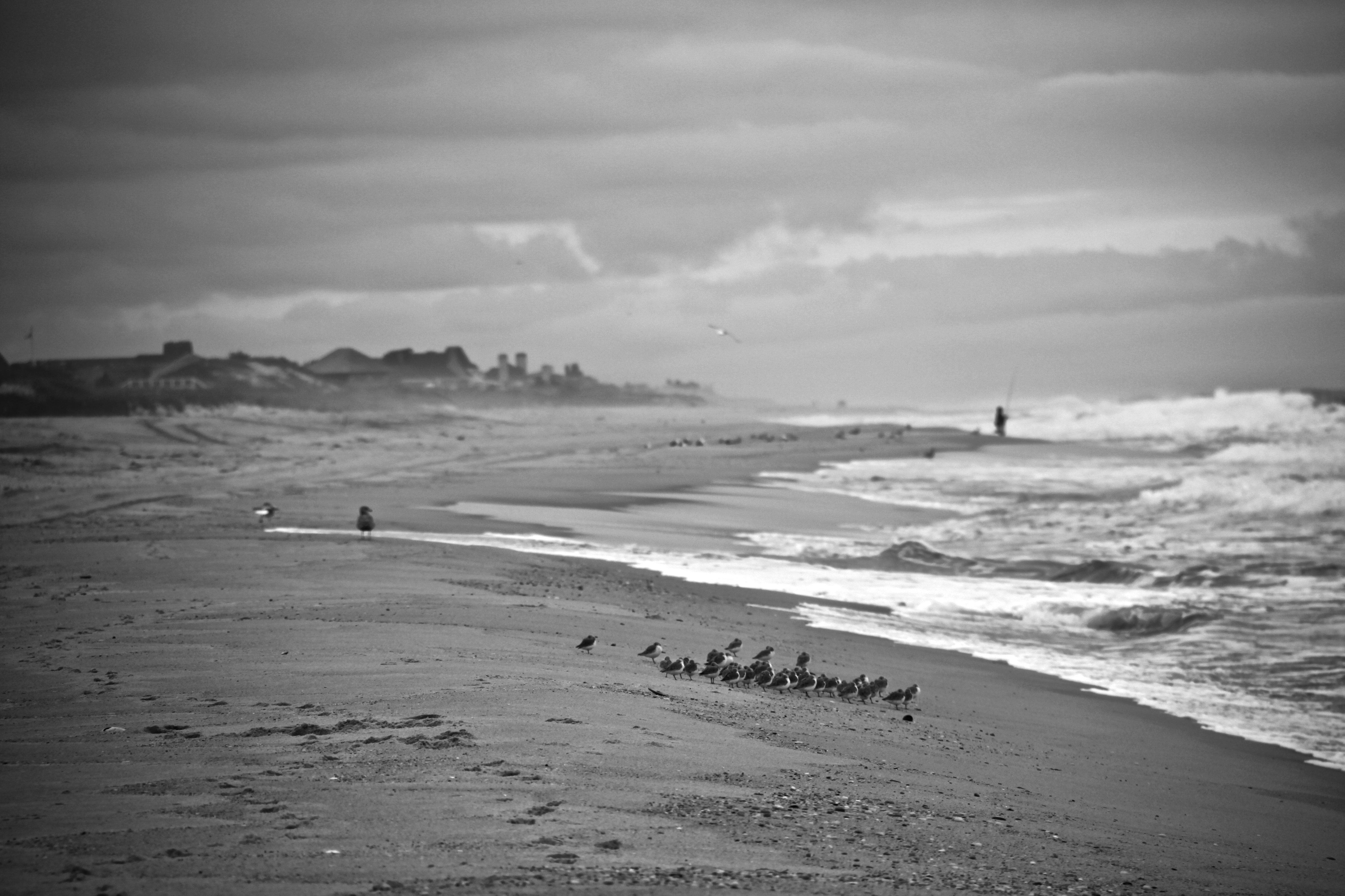 Beach Vacation Home Rentals — Westhampton Beach — photo 6